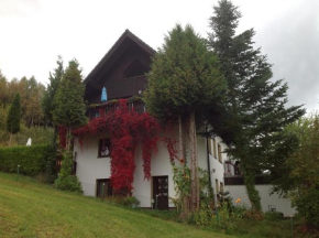 Waldblick - a62086